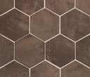 CX 13,9x16 Carmen Magnetism Hexa Corten (0,42m²/25st/doos)