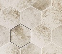 CX 13,9x16 Carmen Magnetism Hexa White (0,42m²/25st/doos)