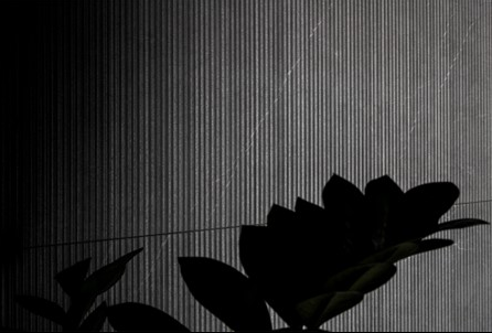 LIVING ALLURE 30x90 WALL WIGGLE  Anthracite Natural (1,07m²/4st/doos)