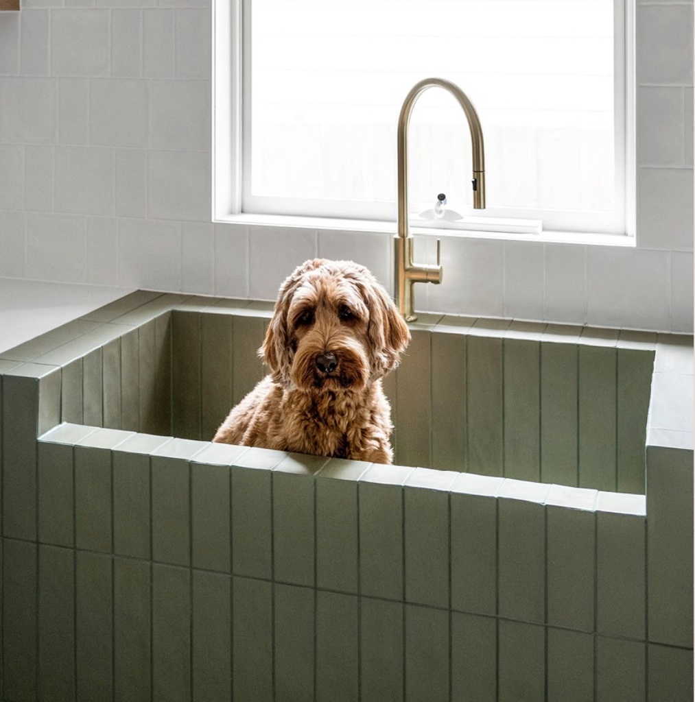 CX 6,5x26 Natucer Evoke Kale (0,50m²/30st/doos)