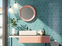 CX 12x13 Carmen Memories Acqua Kisses (0,48m²/38st/doos)