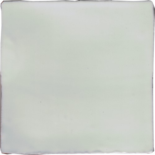 CX 13x13 La Porta Cotto Agua (0,50m²/30st/doos)