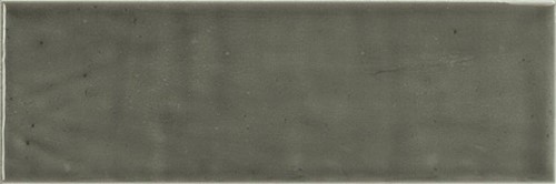 CX 10x30 Carmen Pum Moss (0,54m²/18st/doos)