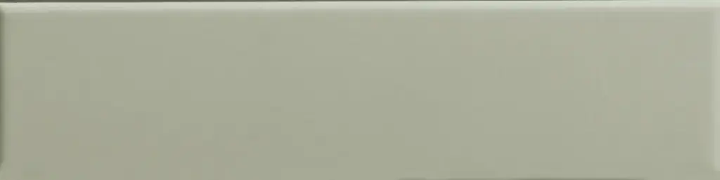 41ZERO42 BISCUIT 5x20 Plain Salvia (0,46m²/46st/doos)