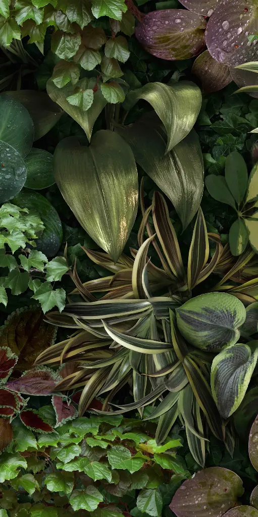 41ZERO42 PAPER41 PRO 50x100 Jane B (1m²/2st/doos)