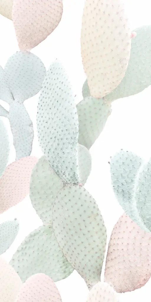 41ZERO42 PAPER41 PRO 50x100 Marcela (1m²/2st/doos)