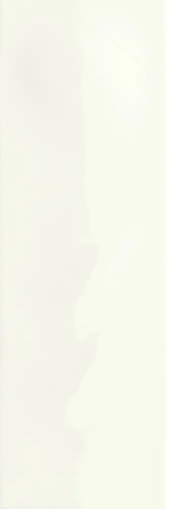 41ZERO42 SCG 5x15 Riviera White (0,585m²/78st/doos)