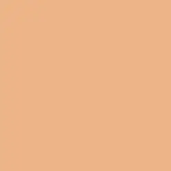 MOSA COLORS 15x15 18940 Apricot Tan (1m²/44st/doos)