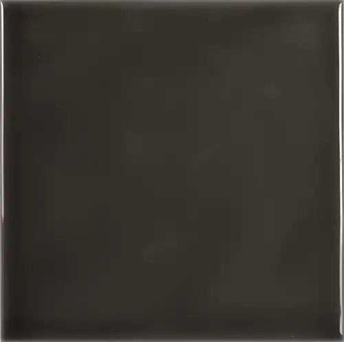 CX 14,8x14,8 Adex Studio Liso Volcánico (0,98m²/45st/doos)