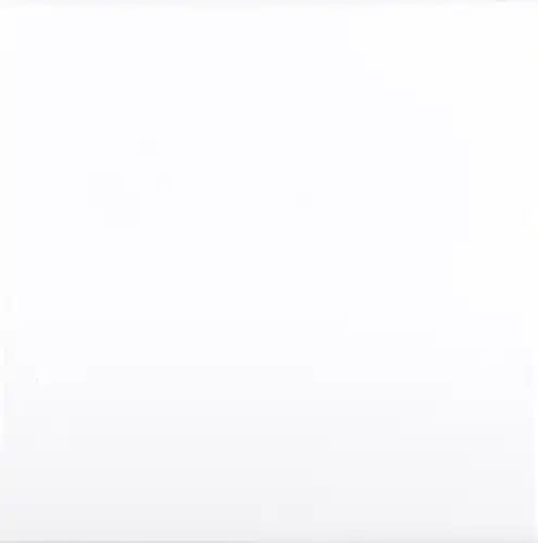 CX 15x15 Adex Neri Liso Blanco Z (1,47m²/65st/doos)