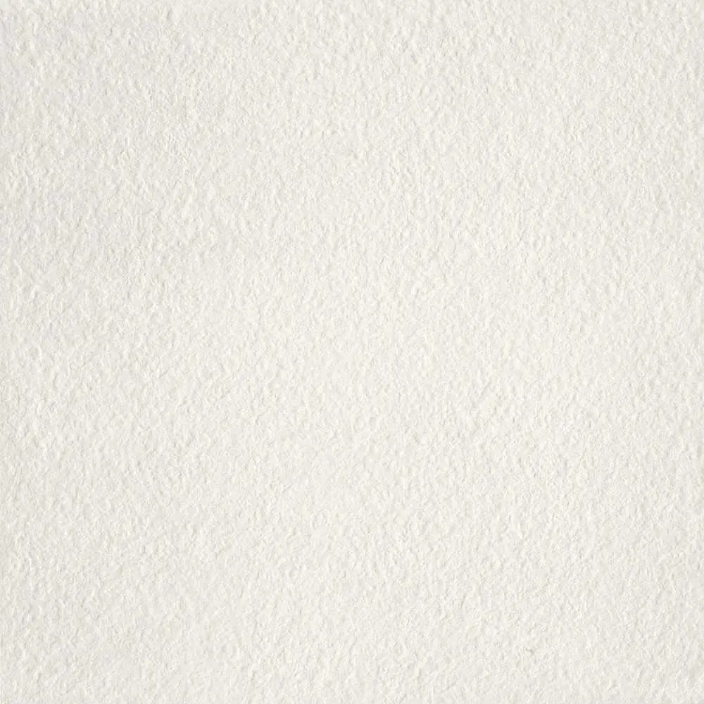 MOSA CORE COLLECTION TERRA 60x60 200RL Cool Porcelain White (1,07m²/ 3st/doos)