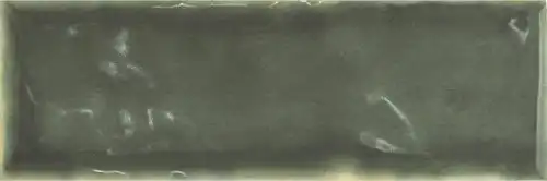 CX 5x15 Wow Casablanca Basil (0,53m²/75st/doos)