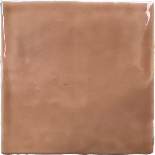 CX 13x13 Heritage Retiro Cotto Claro Brillo (1m²/60st/doos)