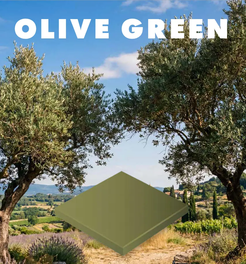 WINCKELMANS 2x2 Vert Olive (1,33m²/14vel/doos) (net achterzijde)
