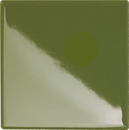 CESI LUCIDI 10x10 Cactus (1m²/100st/doos)