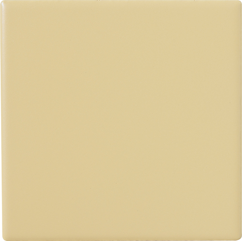 CESI MATT 10x10 Burro (1m²/100st/doos)