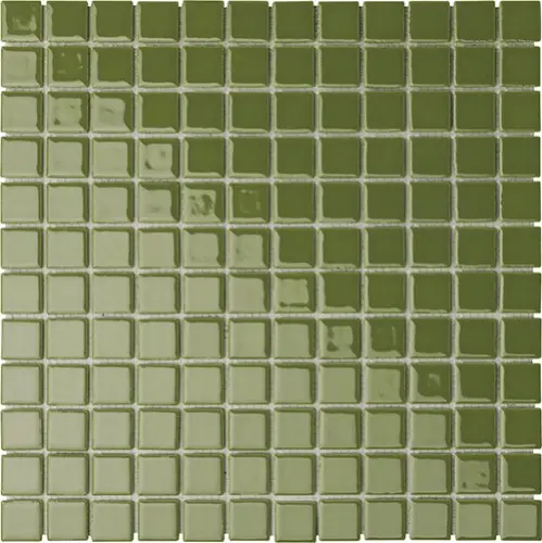 CESI LUCIDI 2,5x2,5 Cactus (1m²/11vel/ds)