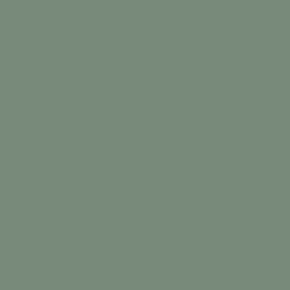 WINCKELMANS CABOCHON 5x5 Vert Pale (50st/doos)