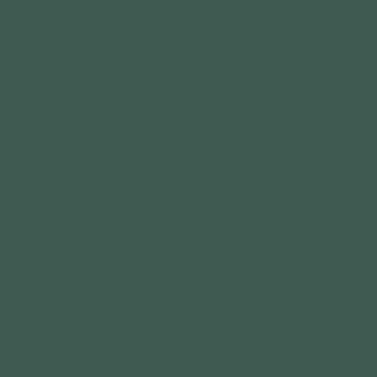 WINCKELMANS CABOCHON 5x5 Vert Fonce (50st/doos)
