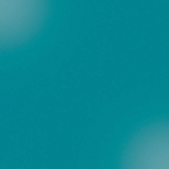 CESI LUCIDI 10x10 Silicio (1m²/100st/ds)