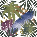 CX 25x26 Codicer Vintage95 Tahiri Garden Mix (1m²/16st/doos)