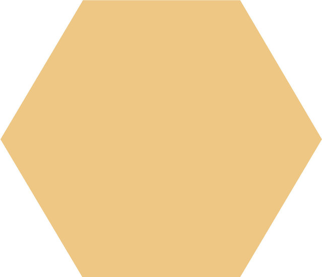 WINCKELMANS HEXAGONE 15cm 9mm Miel/Cognac (0,48m²/24st/doos)