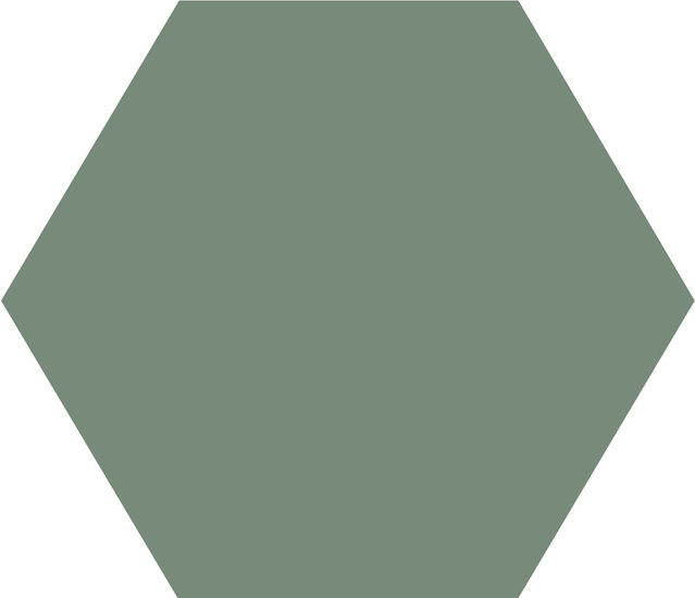 WINCKELMANS HEXAGONE 15cm 9mm Vert Pale (0,48m²/24st/doos)