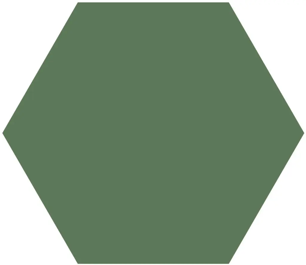 WINCKELMANS HEXAGONE 10cm 9mm Australian Green (0,42m²/46st/doos)