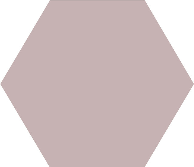 WINCKELMANS HEXAGONE 10cm 9mm Parme (0,42m²/46st/doos)