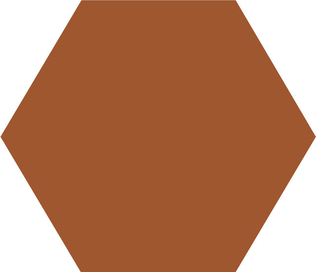 WINCKELMANS HEXAGONE 2,5cm 3,8mm Caramel (1,06m²/14vel/doos)