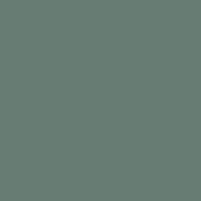 WINCKELMANS CABOCHON 5x5 Vert Uni (25st/doos)