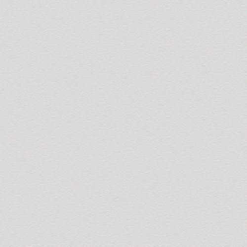 CESI FULL-BODY 20x20 Alluminio (1,20m²/30st/doos)