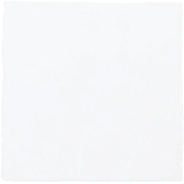 CX 10x10 Alcoceram Malaga Mate Blanco (0,50m²/50st/doos)