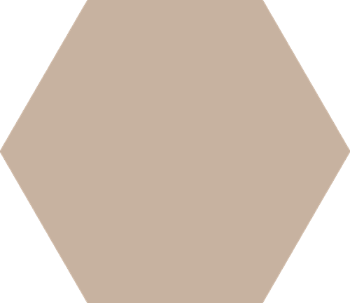 CX 25,1x22 Codicer95 Hex25 Basic Nude (1,04m²/25 st/doos)