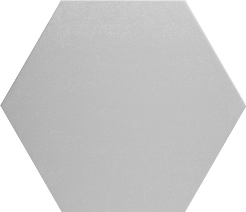 CX 25,1x22 Codicer95 Hex25 Basic Silver (1,04m²/25 st/doos)