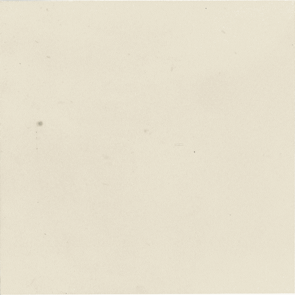 CX 15x15 Revoir Paris Bel Histoire Albatre (1m²/44st/doos)