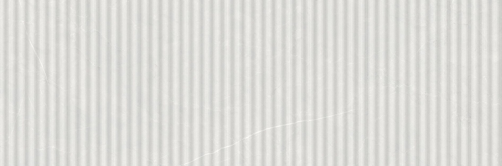 LIVING ALLURE 30x90 DUCTILE RELIEFS WIGGLE White (1,07m²/4st/doos)