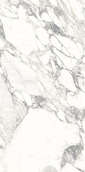 ARIOSTEA MARMI CLASSICI 120x60 Arabescato Classico Polished (1,44m²/2st/doos)