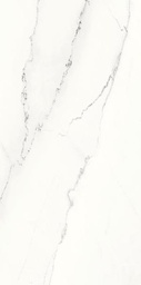 [45112] ARIOSTEA MARMI CLASSICI 120x60 Calacatta Lincoln Polished (1,44m²/2st/doos)