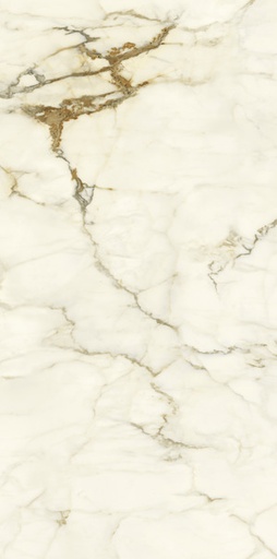 [45125] ARIOSTEA MARMI CLASSICI 120x60 Calacatta Macchia Vecchia Polished (1,44m²/2st/doos)