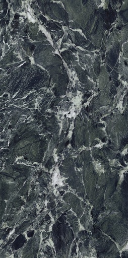 [45123] ARIOSTEA MARMI CLASSICI 120x60 Verde st. Denis Polished (1,44m²/2st/doos)