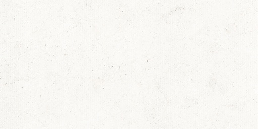 LIVING BERA&BEREN 60x120 DUCTILE RELIEFS LANE Bera Ice (1,43m²/2st/doos)