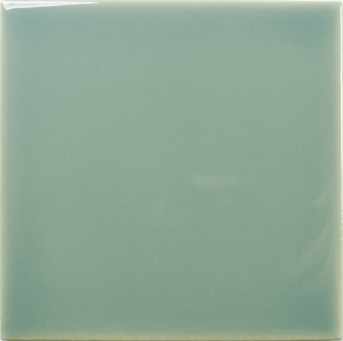 [WY1205-[T133]] CX 12,5x12,5 Wow Fayenza Square Fern (0,494m²/64st/doos)