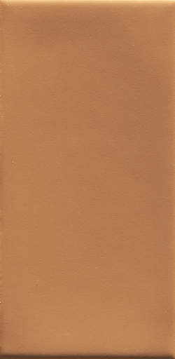 [4101108] 41ZERO42 MOU 6,2x12,5 Mou Caramel Matte (0,58m²/74st/doos)