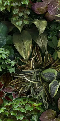 [4100152] 41ZERO42 PAPER41 PRO 50x100 Jane B (1m²/2st/doos)