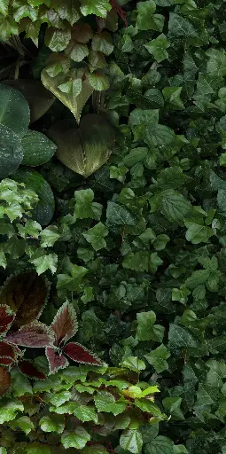 [4100154] 41ZERO42 PAPER41 PRO 50x100 Jane D (1m²/2st/doos)