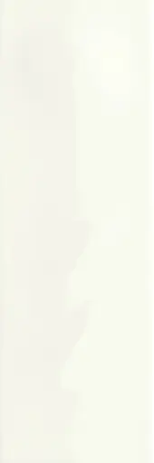 [4101093] 41ZERO42 SCG 5x15 Riviera White (0,585m²/78st/doos)