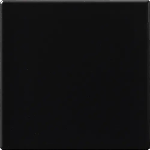 [5MA100100-32] CESI MATT 10x10 Nero (1m²/100st/doos)