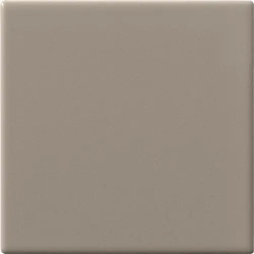 [5MA100100-59] CESI MATT 10x10 Tortora (1m²/100st/doos)