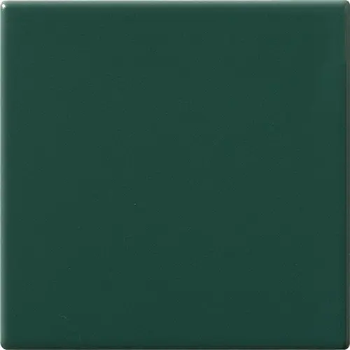[5MA100100-51] CESI MATT 10x10 Felce (1m²/100st/doos)